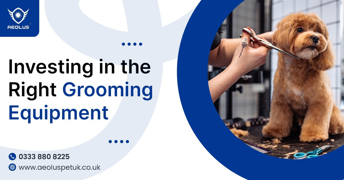 Investing in the Right Grooming Equipment: Why Quality Baths and Tables Matter