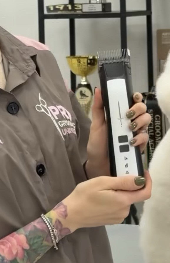 Aeolus Excalibur II professional cordless dog grooming clipper A5 blade