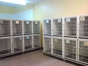 KA-505 Holding Cage
