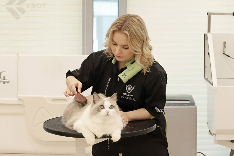 Aeolus TD-912 Pet Neck-Hanging Dryer