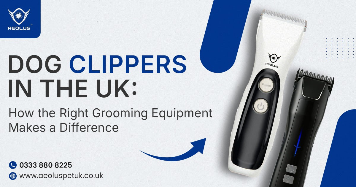 professional dog clippers