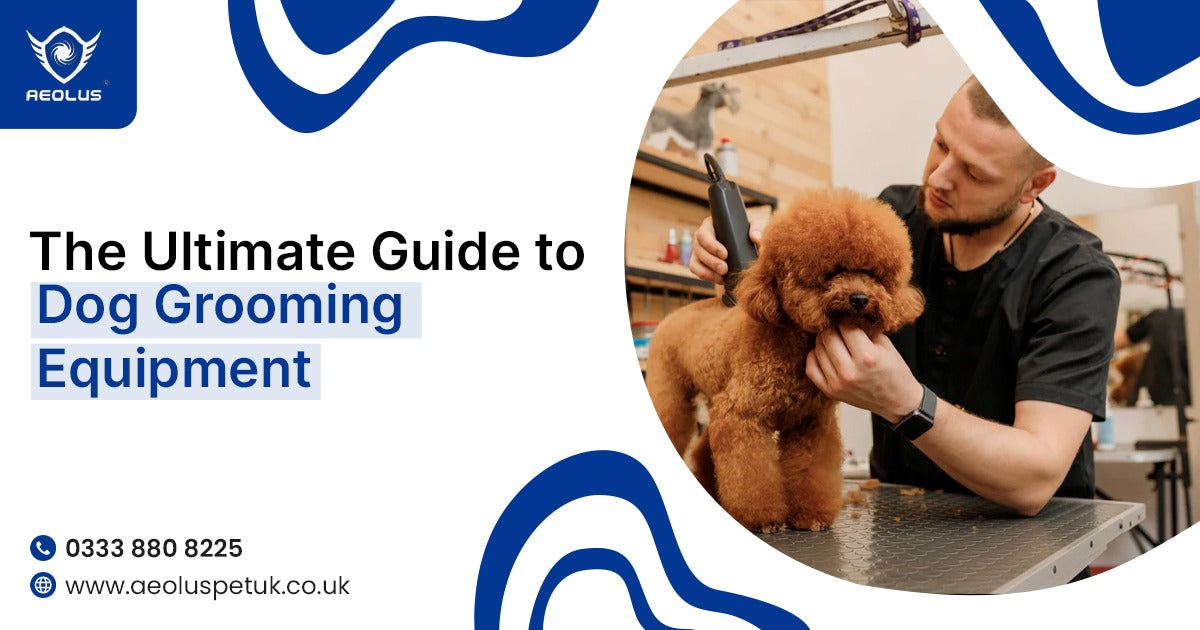 The Ultimate Guide to Dog Grooming Equipment for Beginners and Professionals in the UK