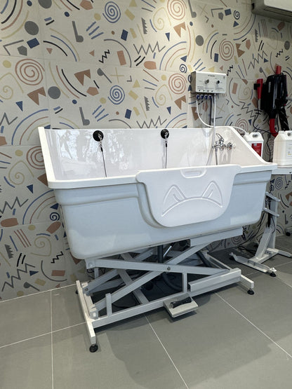 Aeolus Jumbo Fiberglass Bath with Electric Lifting Base