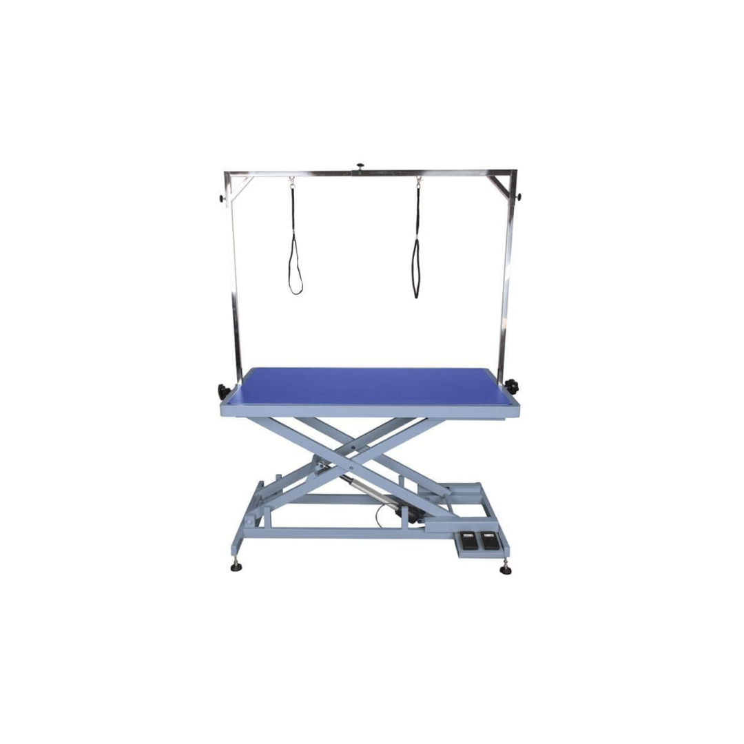 Aeolus FT-808 Electric Grooming Table