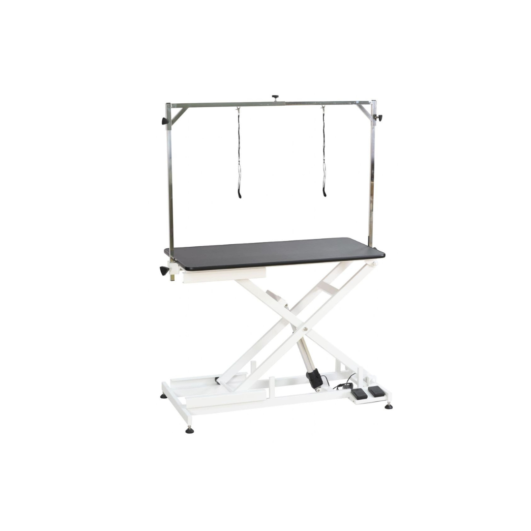 FT-808 Wiz Aeolus Electric Dog Grooming Table