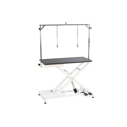 FT-808 Wiz Aeolus Electric Dog Grooming Table