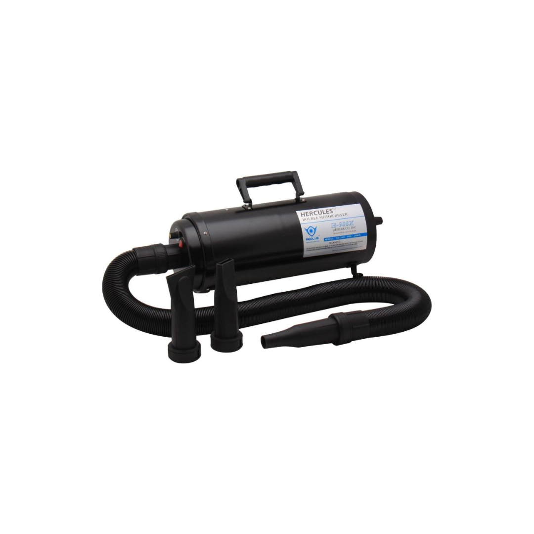 Aeolus Hercules TD-900X Double Motor Blaster Dryer