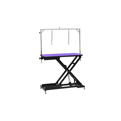 FT-808 Wiz Low Low electric dog grooming table black