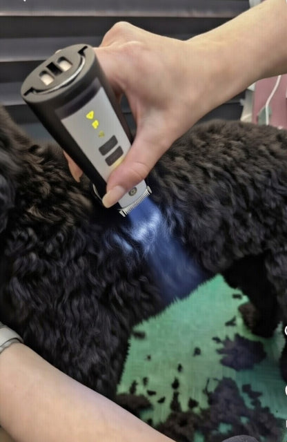 dog grooming clipper with LED light illuminating black coat Aeolus Excalibur II