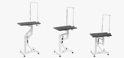 FT-838 Air Lift Grooming Table